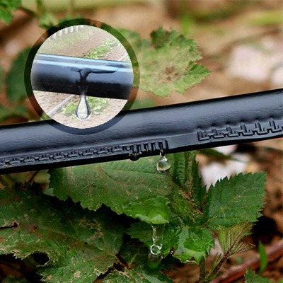 نوار آبیاری قطره ای